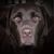 Yogi Linville's profile image