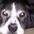 Jack Lively's profile image