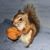 Sheila Doles's profile image