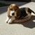 Janet Schuhknecht's profile image