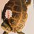 Trevor Hollenbeck's profile image