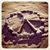Saundra S Knighton's profile image