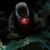 Mycco Torez's profile image