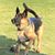Danna Northrip Ragsdale's profile image