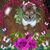 Betty Sue Gall's profile image
