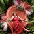 Nancy Steiner's profile image