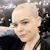 Nikki Lanford's profile image