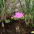 Liz Smith's profile image