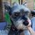 Amie Chaney Bolton's profile image