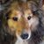 Jeanne Lindsley's profile image