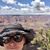 Carol Ashley Tarzon's profile image
