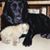 Kathy Sahm's profile image