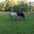 Tricia Bartlett Cretecos's profile image