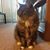 Darrell Ruppert's profile image
