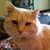 Leslie MacPherson's profile image