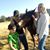 Teesha Tinglum's profile image