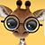 Angela M Hillyard's profile image