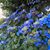 Heather Rawlings-Hutchinson's profile image