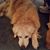 Nancy Hogardt's profile image
