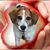 Amy Hedman Crowe's profile image