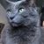 Kim Hankins Flanagan's profile image