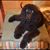 Kelly Stertzel's profile image