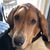 Dawn Guille's profile image