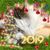 Michelle Fitzpatrick's profile image