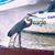 Rachel Stamps Seagle's profile image