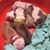 Ruthy Roman's profile image