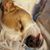 Susie Burchett Rudd's profile image