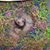 Kimberly Johnston's profile image