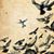 Edward Hummingbird's profile image