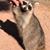 Jim Leuthner's profile image