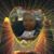 Debra Calhoun Willis's profile image