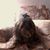 Lori Brown's profile image