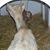 Pamela Schimmel's profile image