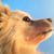 Sarah Burns's profile image