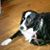 Bob Quayle's profile image