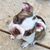 Jackie Johnson Kelso's profile image