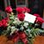 Tamara Heess's profile image