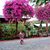 Paula Peak's profile image