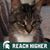 Kimberly Dean's profile image