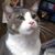 Lisa Maxon's profile image