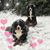 Sue Stonick's profile image
