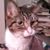 Jeanne Berry's profile image