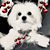 Denise Bianchi Ross's profile image