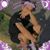 Real Soner's profile image