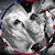 Tracy Wanderer's profile image