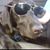 Scott Farber's profile image